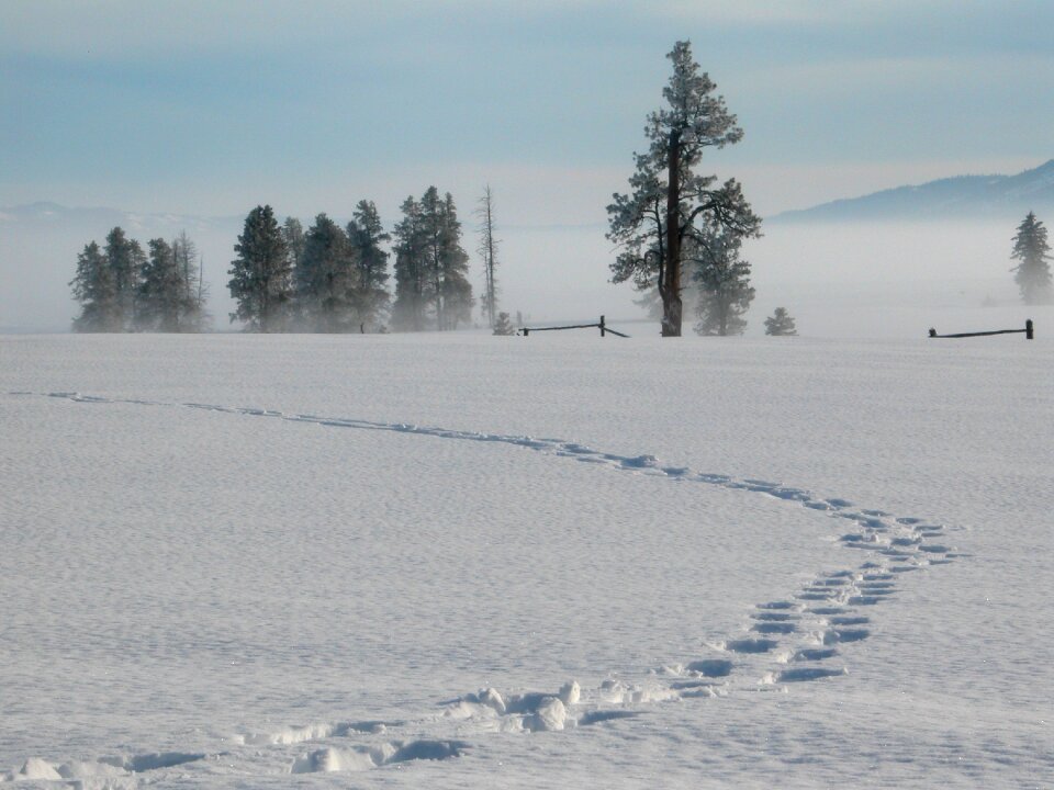 Idaho nature landscape