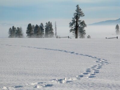 Idaho nature landscape