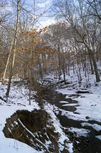 Baltimore waverly park creek