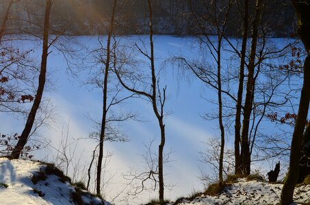 Wintry geforener lake winter forest photo