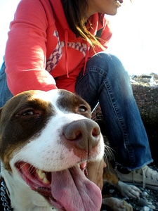 Canine friendship girl