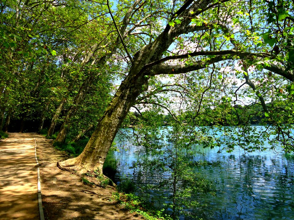 Lake nature based