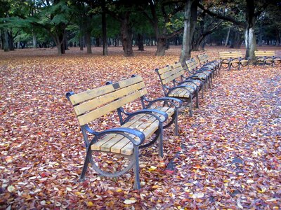 Rest autumn leaves