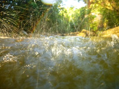 Rio nature landscape