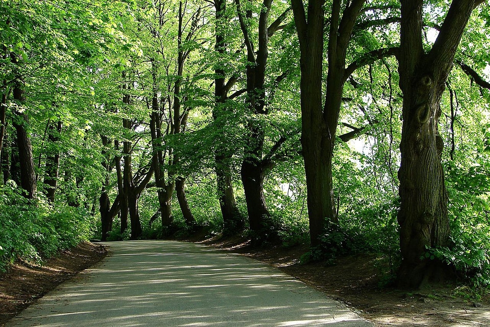 Shade shadow street