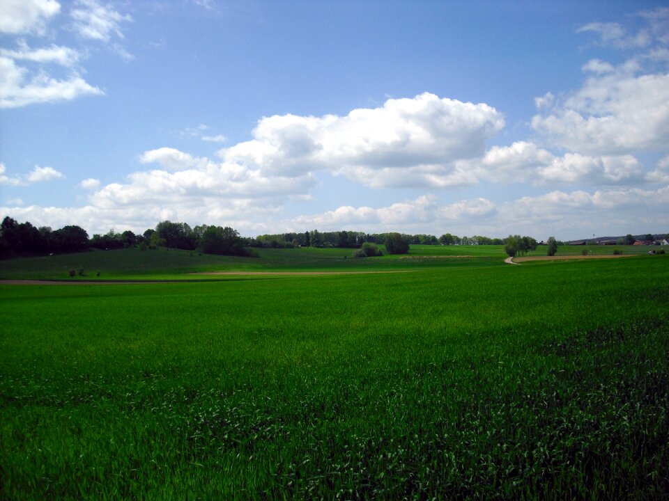 Green summer clouds