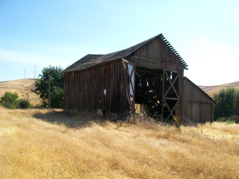 Nature wooden summer field