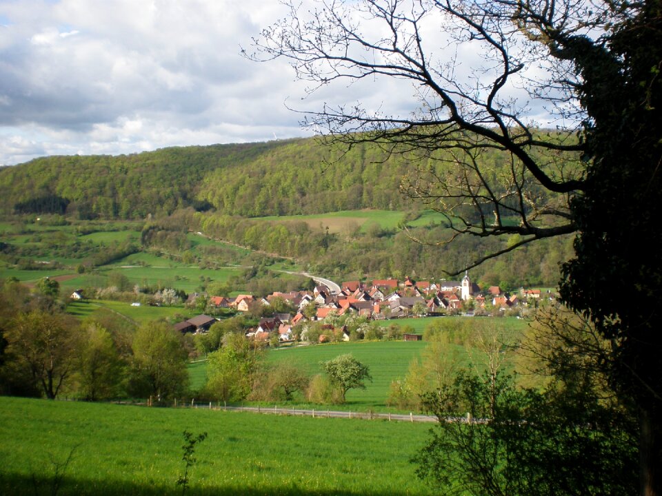 Forest reported fields