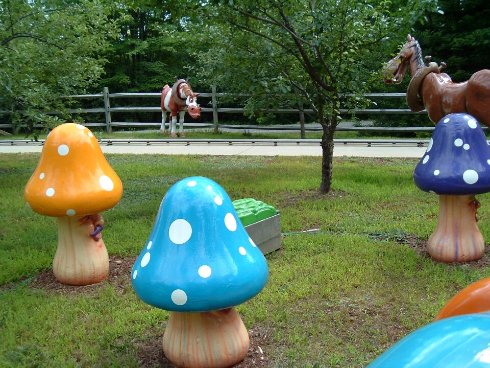 Amusement playing whimsical