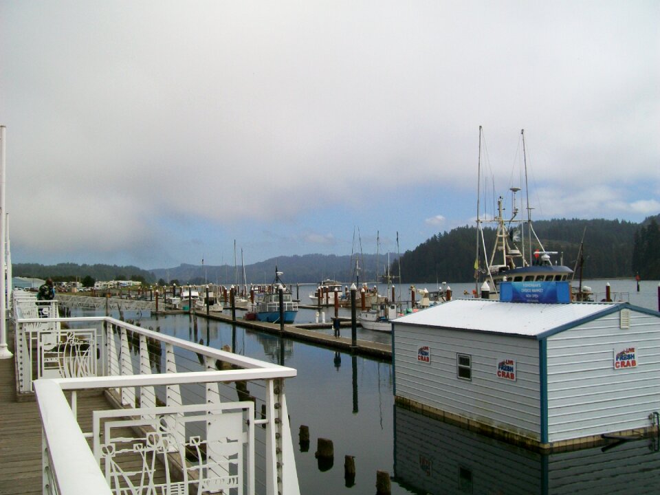 Florence shoreline oregon