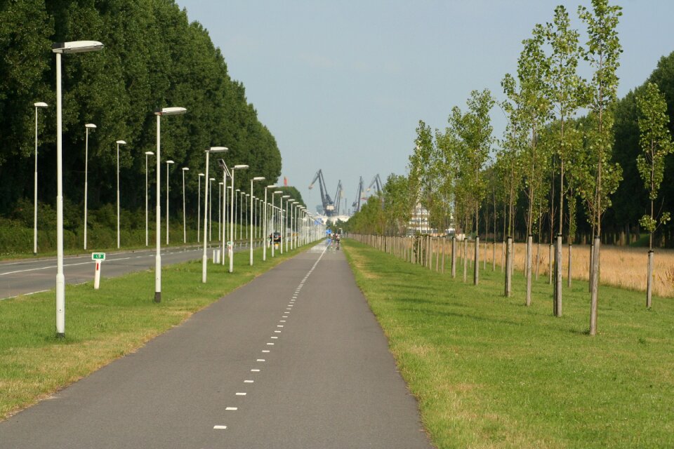 South holland tight long