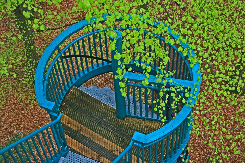 Green branch branches
