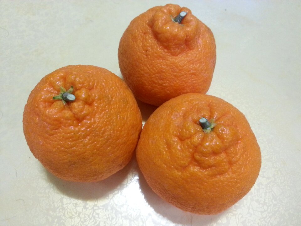 Jeju island hallabong seasonal food