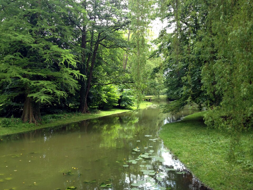 Schwerin park trees