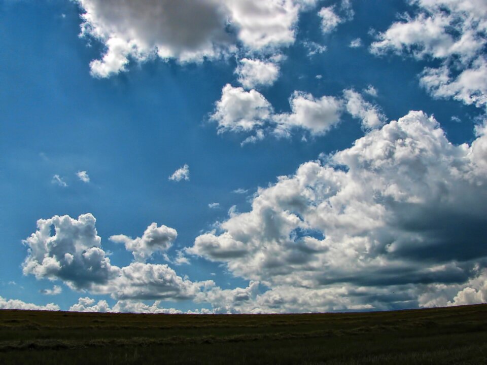 Nature summer horizon