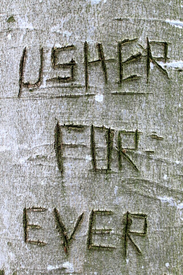 Symbol engraved eingeritzter tree
