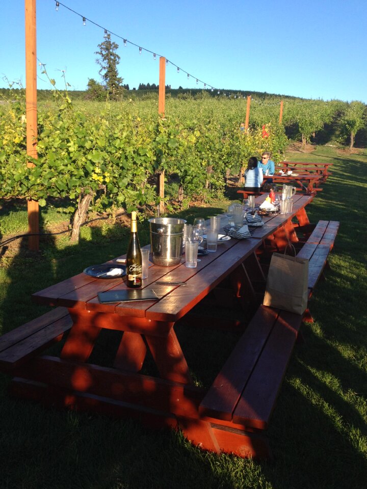 Picnic wine vineyard
