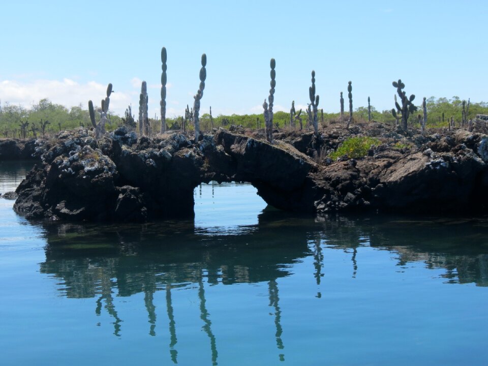 Galapagos islands ecuador