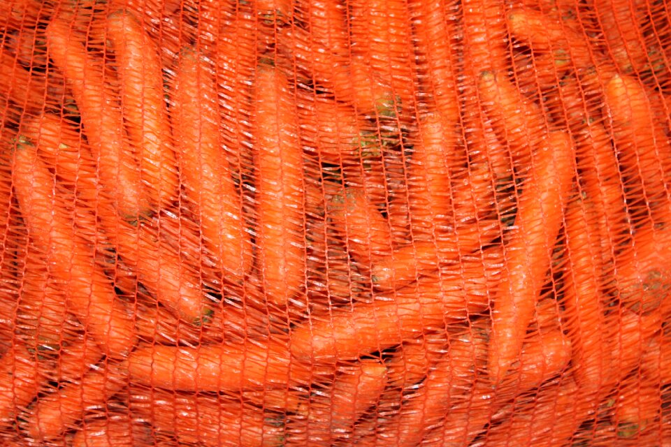 Carrot cook food