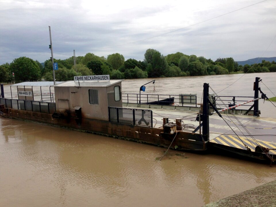 Enghien neckar live shipping