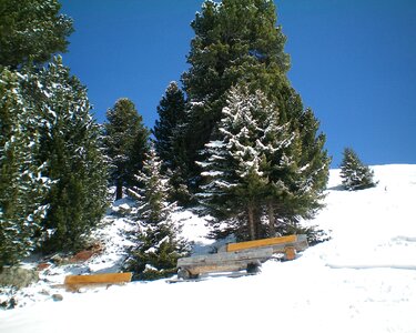 Winter snow bench photo