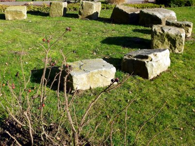 Stones stone circle meadow