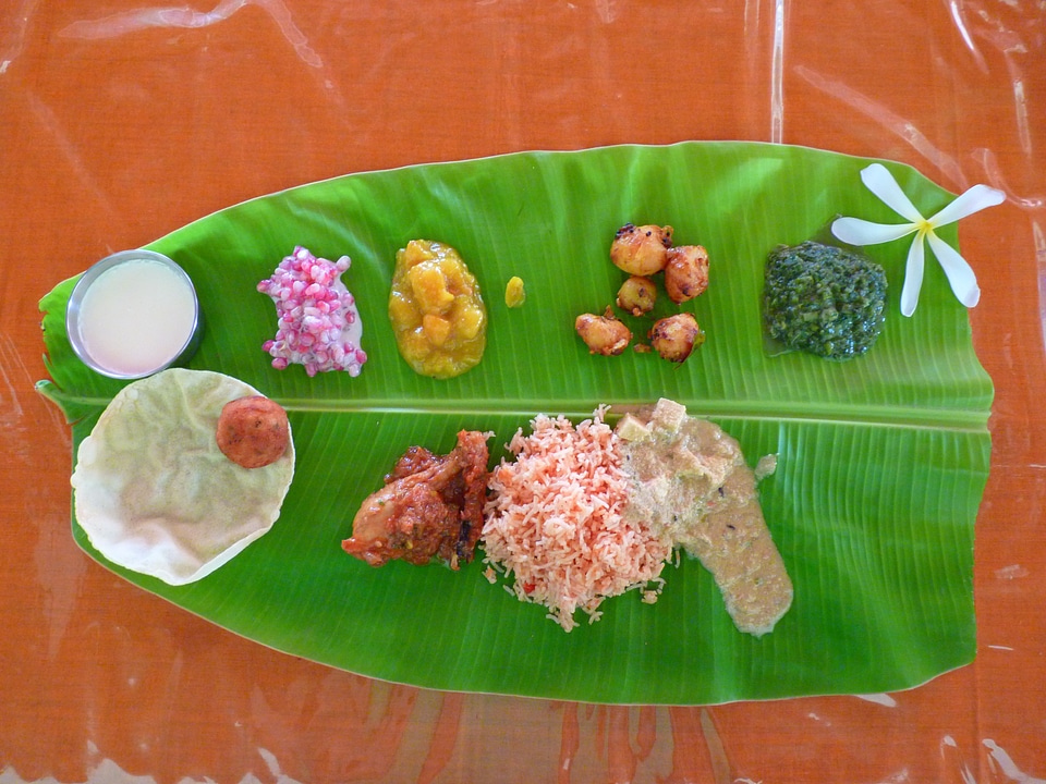 Indian cuisine rice south india