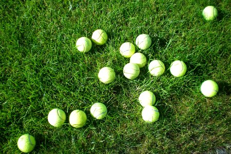 Tennis balls mess meadow