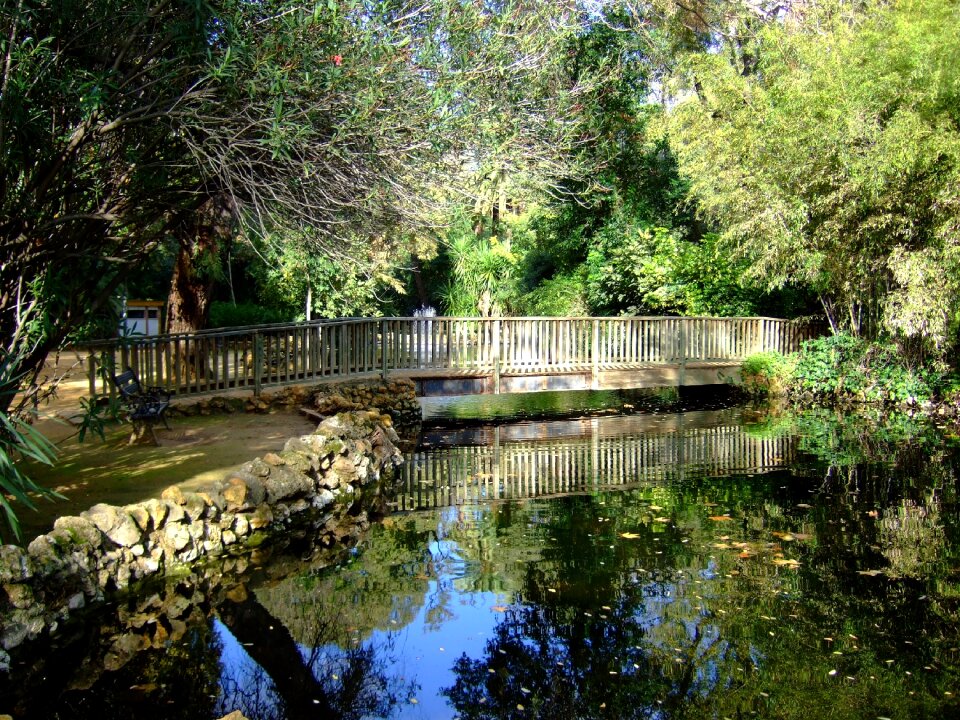Maria luisa park spain andalusia