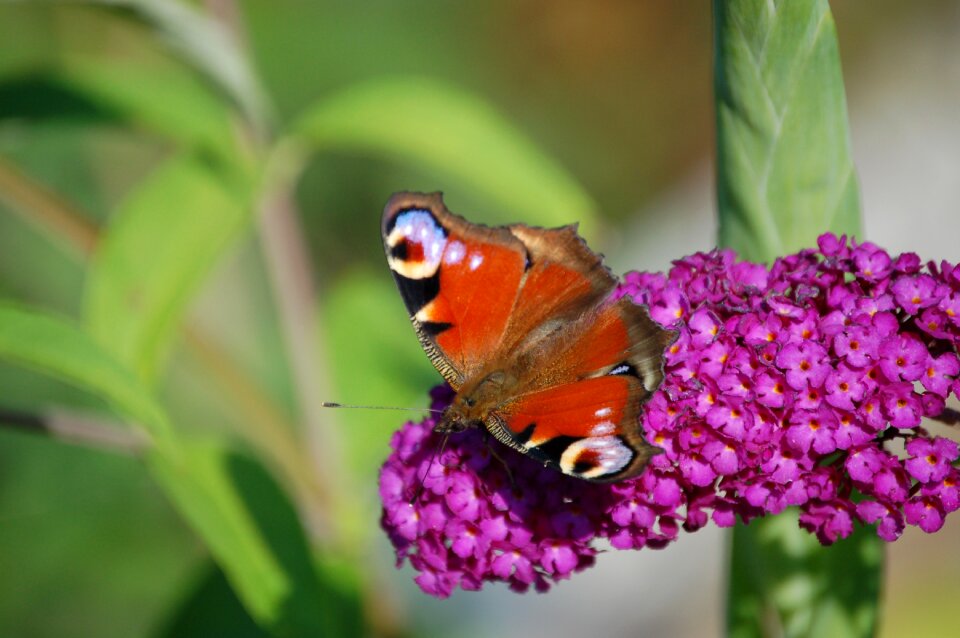 Nature spring kid stories