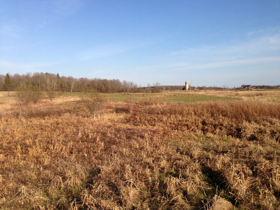 Background countryside
