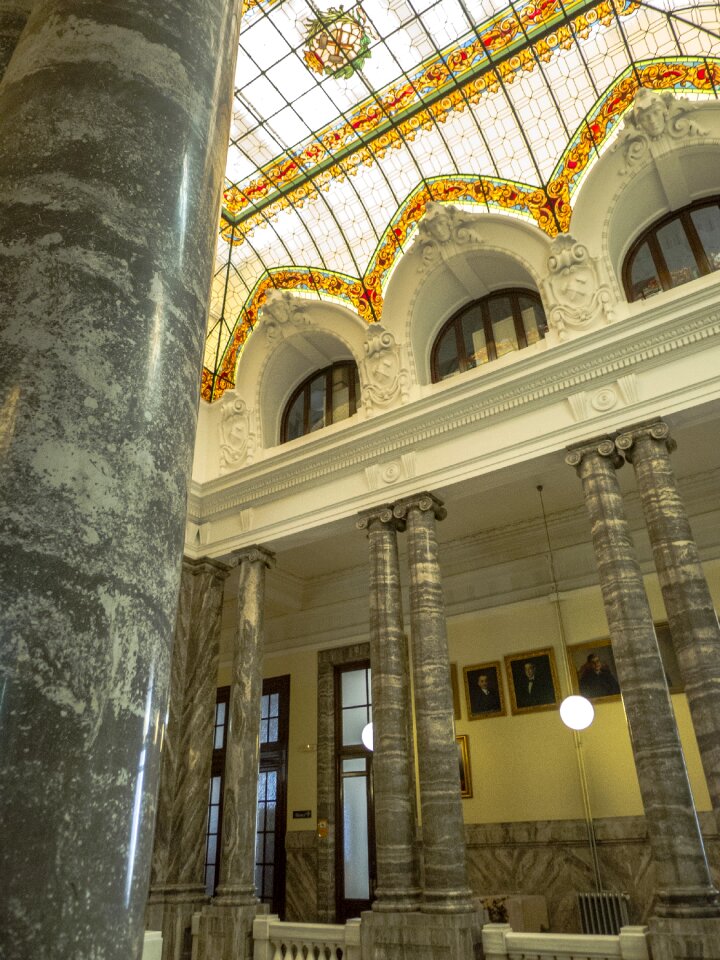 Ceilings madrid columns