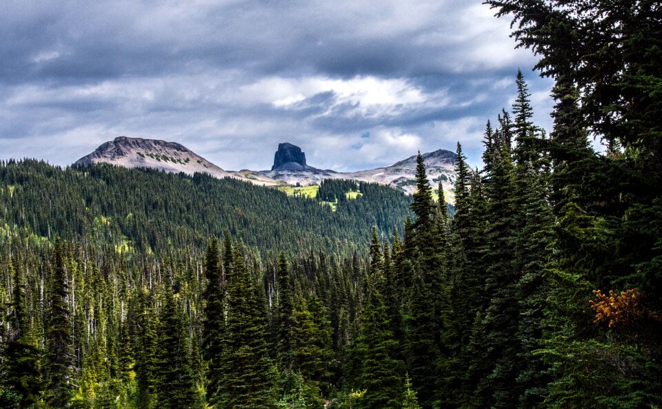 Scenic nature landscape
