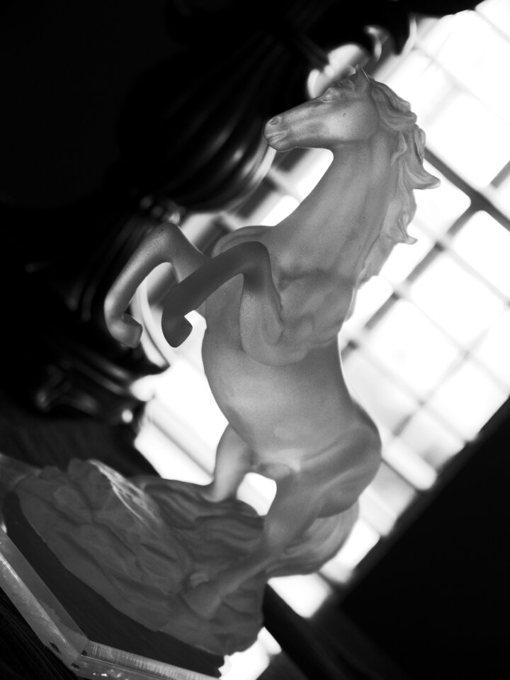 Window black and white