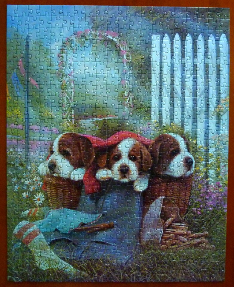 Puzzle animals dogs
