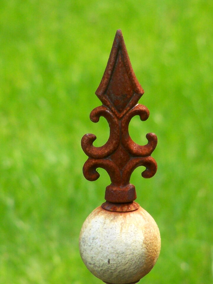 Rose rod close up trellis