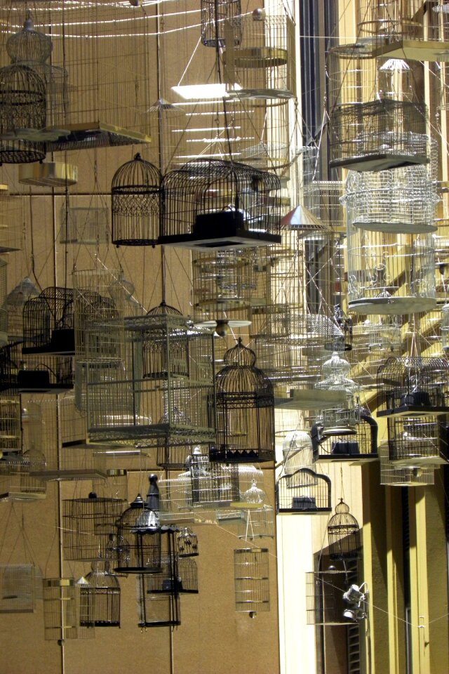 Sydney city bird cages