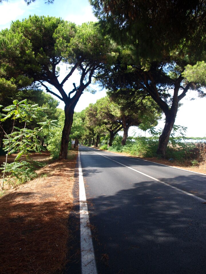 Italy road landscape