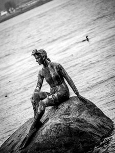 Black and white harbor