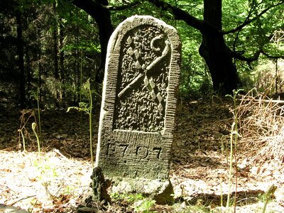 1707 forest blankenrode