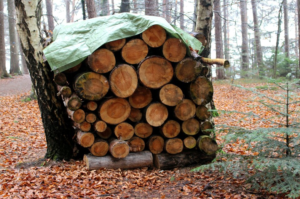 Firewood holzstapel stack