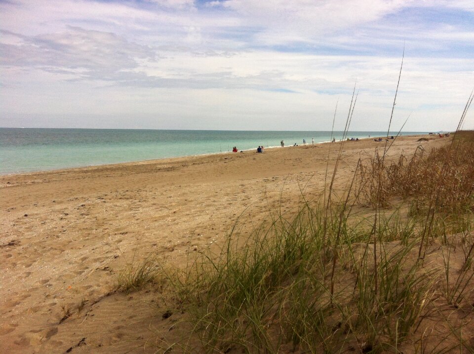 Nature shoreline florida
