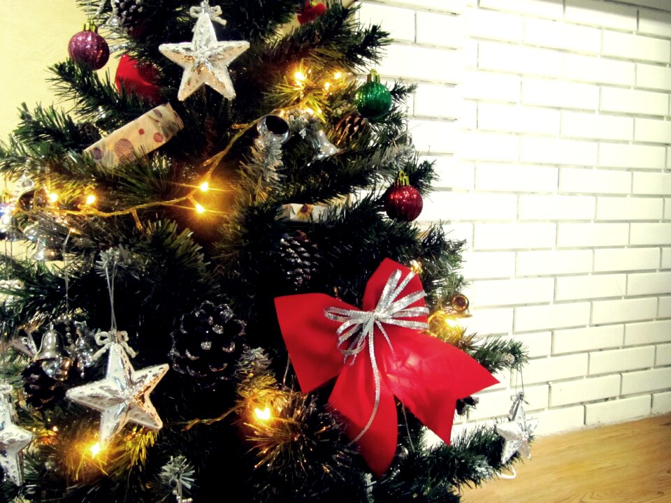 Xmas evergreen green
