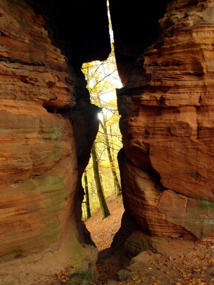By looking autumn emerge