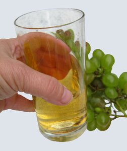 New wine vintage glass