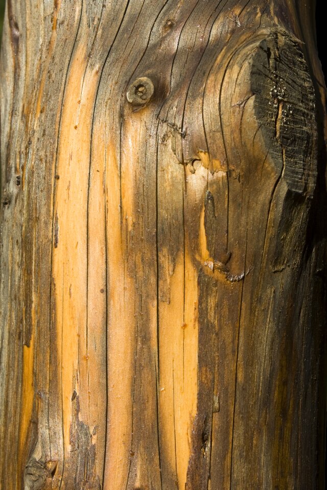 Wood texture structure