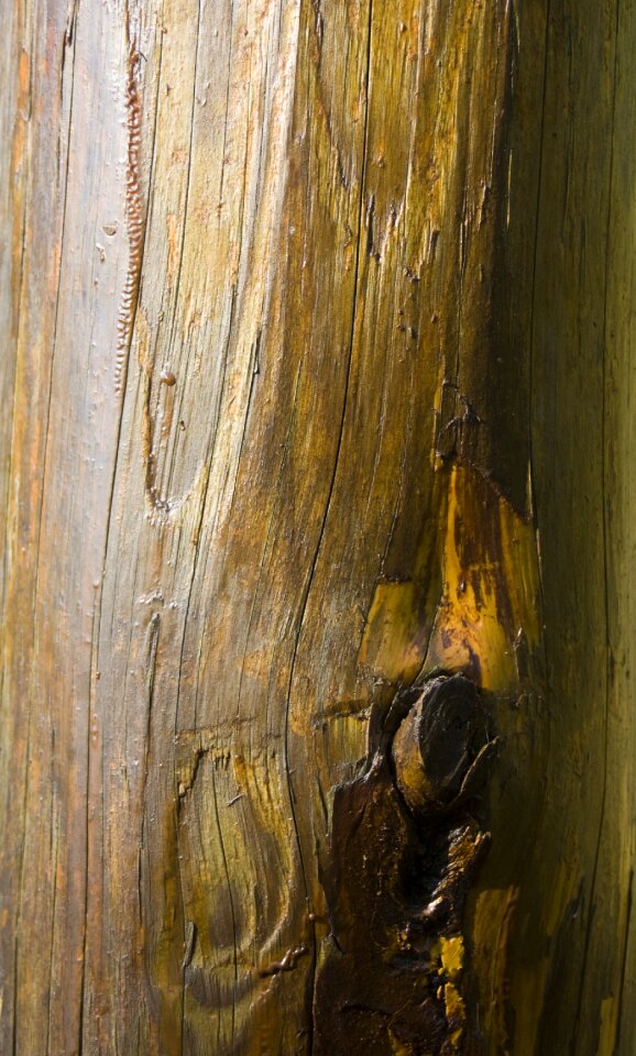 Texture structure background