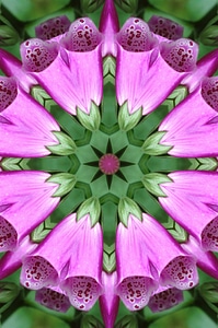 Abstract background kaleidoscope photo