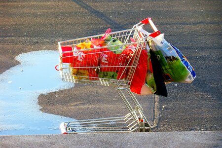 Collect bottles bottle collectors poverty