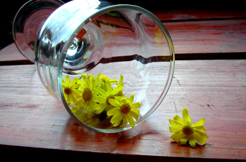 Wooden desk chamomile yellow flowers